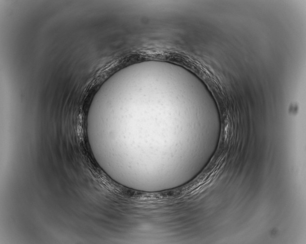 X0000099311156200805161406