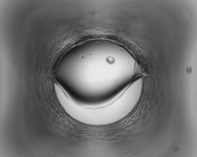 X0000099311157200805161406