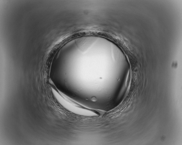 X0000099311159200805161406