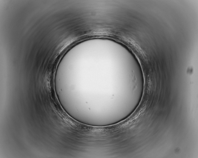 X0000099311162200805161406