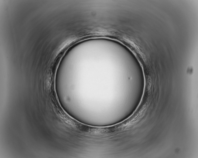 X0000099311163200805161406