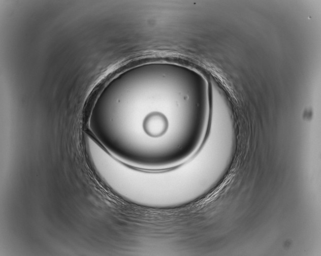 X0000099311165200805161406