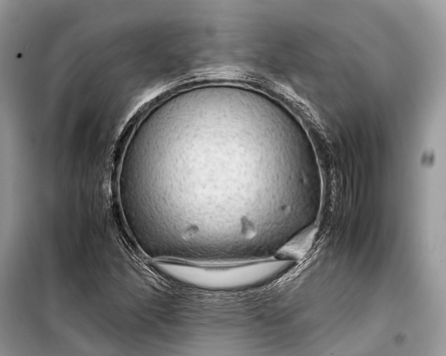 X0000099311166200805161406