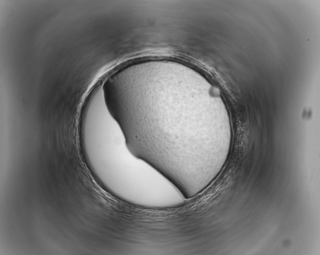 X0000099311168200805161406