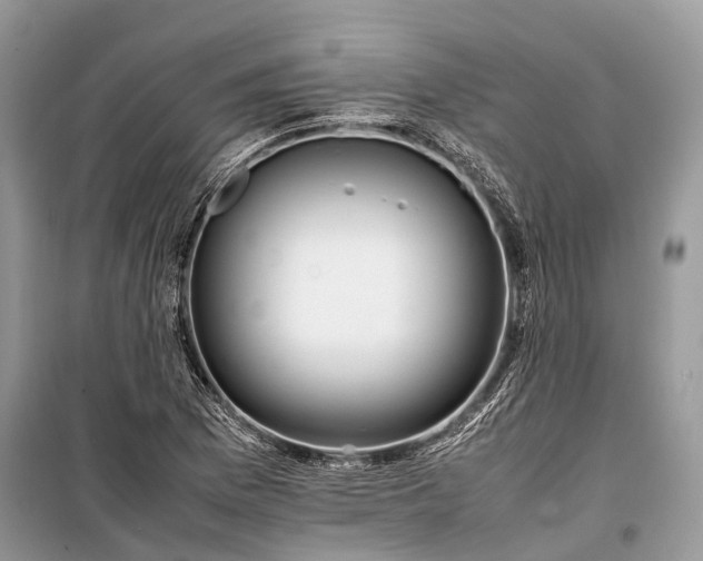 X0000099311169200805161406