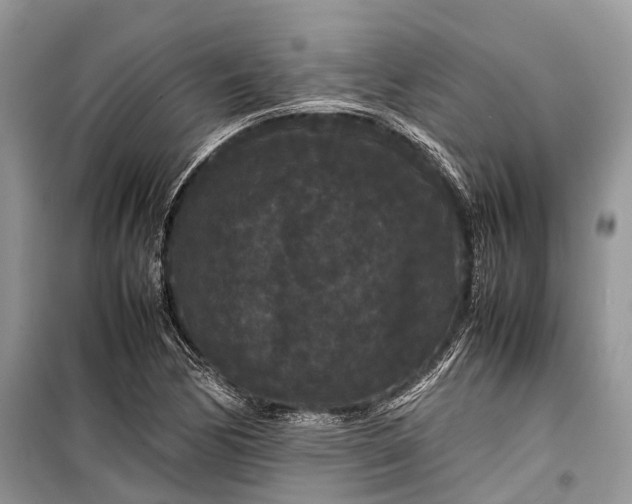 X0000099311170200805161406