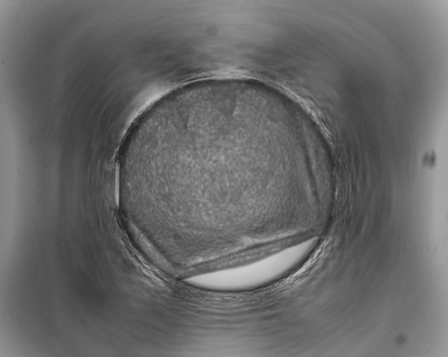 X0000099311171200805161406