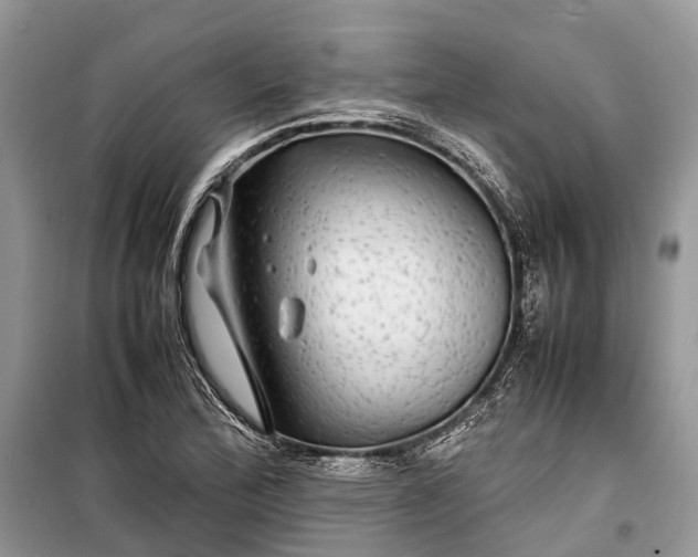 X0000099311172200805161406