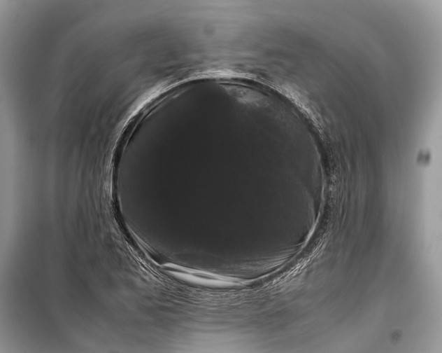 X0000099311173200805161406