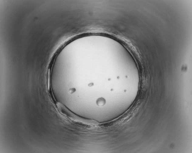 X0000099311175200805161406