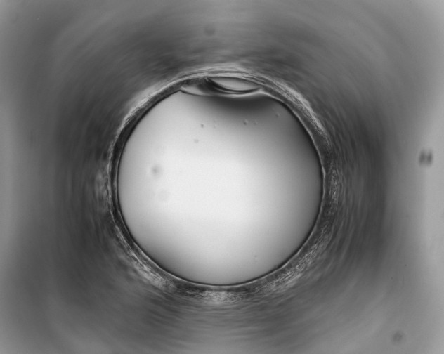 X0000099311176200805161406