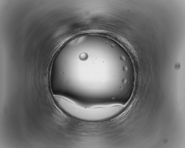 X0000099311177200805161406