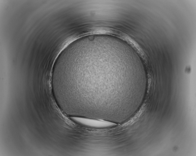 X0000099311178200805161406