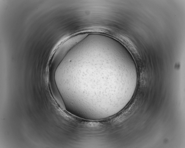 X0000099311180200805161406