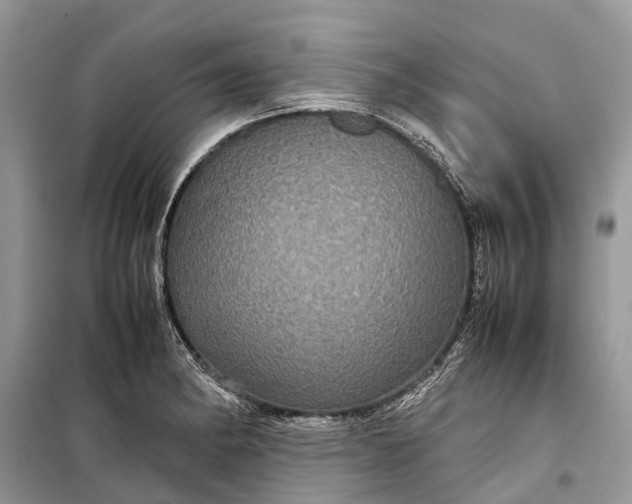 X0000099311182200805161406