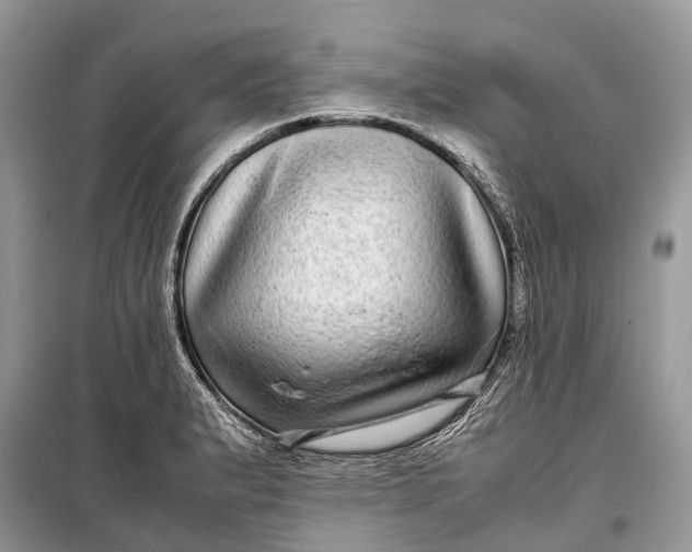 X0000099311183200805161406