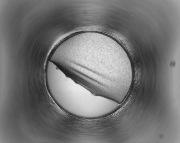 X0000099311184200805161406