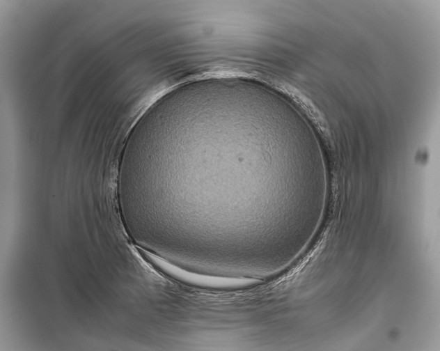 X0000099311185200805161406