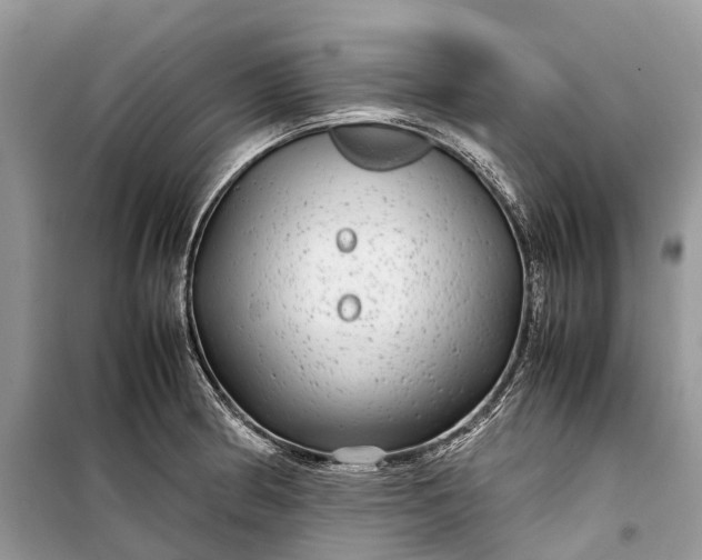 X0000099311186200805161406