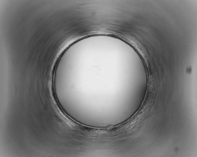 X0000099311187200805161406