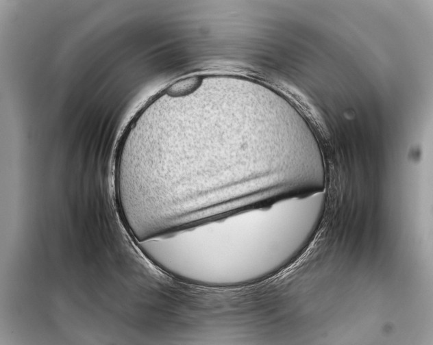 X0000099311188200805161405