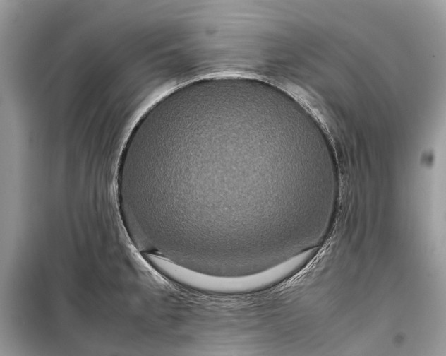 X0000099311189200805161405