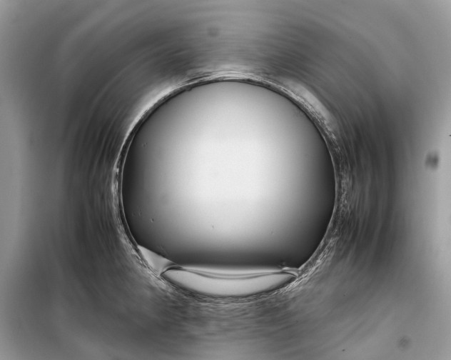 X0000099311190200805161405