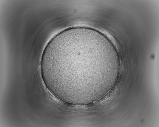 X0000099311191200805161405