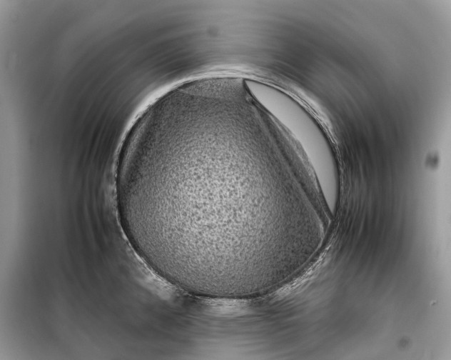 X0000099311192200805161405