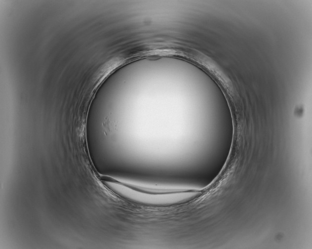 X0000099311193200805161405