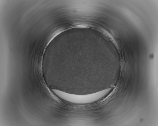 X0000099311194200805161405