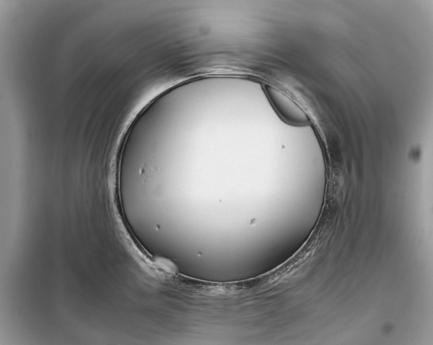 X0000099311195200805161405