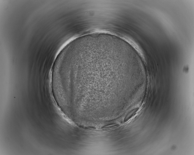 X0000099311198200805161405