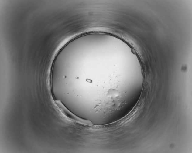 X0000099311199200805161405