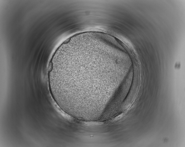 X0000099311200200805161405