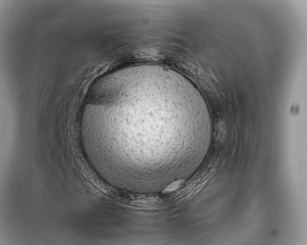 X0000099311201200805161404