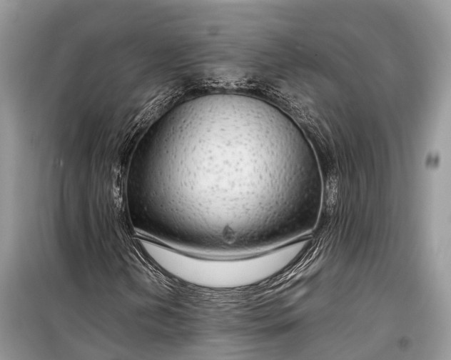 X0000099311202200805161404