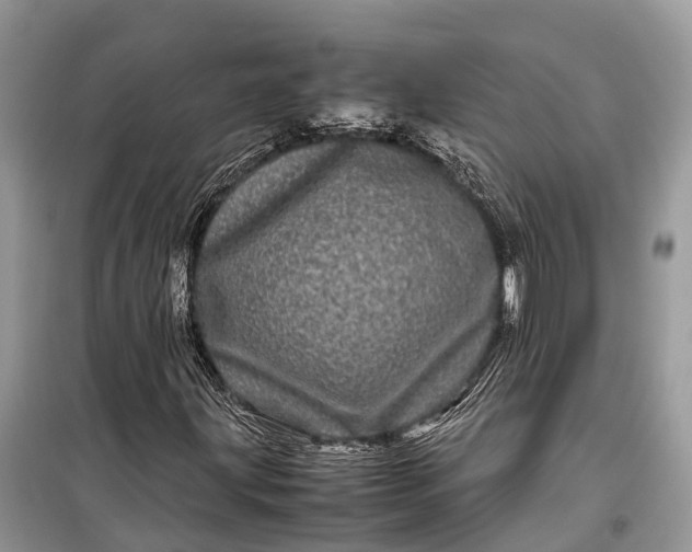 X0000099311203200805161404