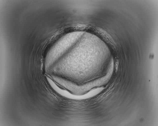 X0000099311204200805161405