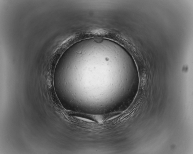 X0000099311205200805161405