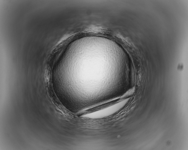 X0000099311206200805161405