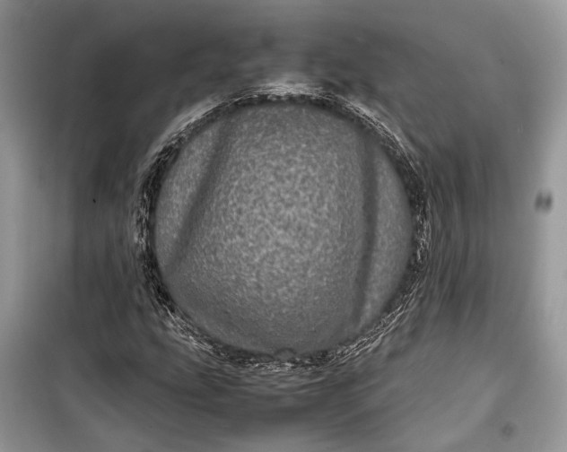 X0000099311207200805161405