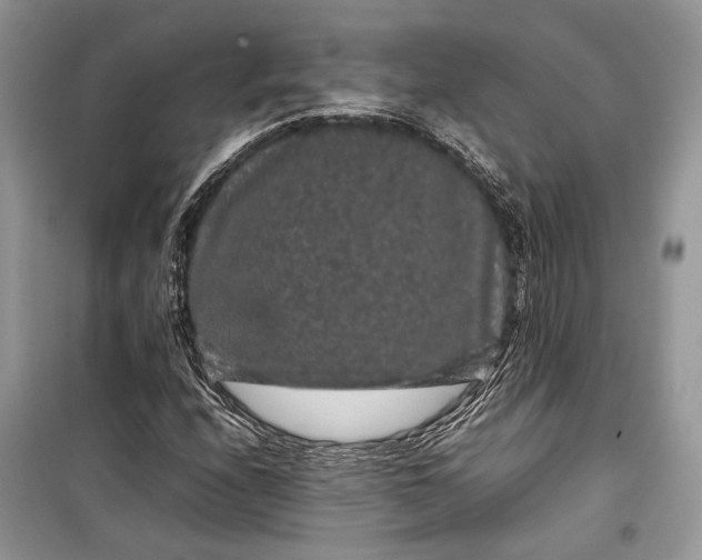 X0000099311208200805161405