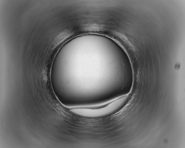 X0000099311209200805161405