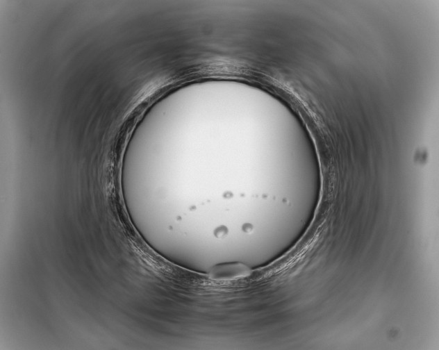 X0000099311211200805161405