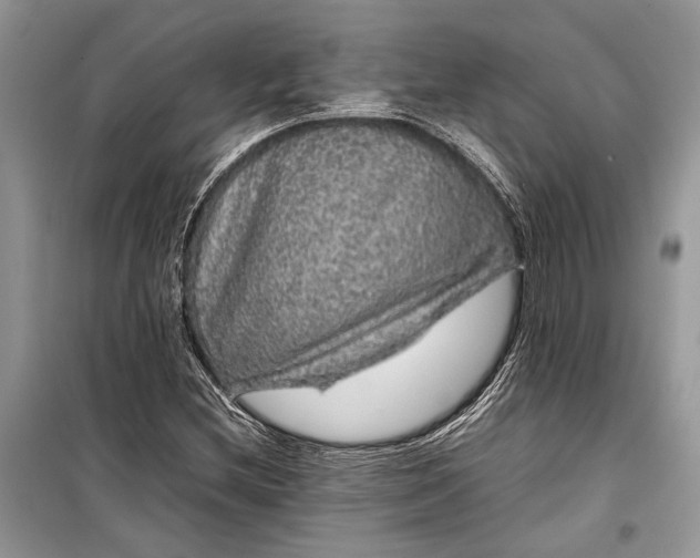 X0000099311212200805161405