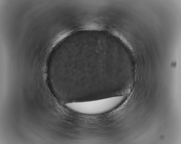 X0000099311213200805161405