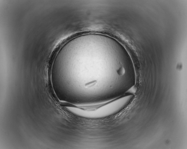 X0000099311214200805161405