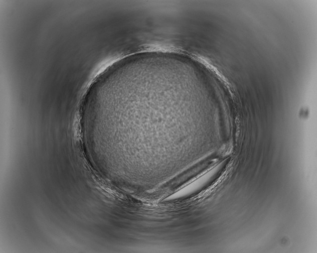 X0000099311215200805161405