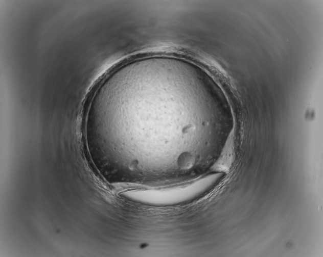 X0000099311216200805161405